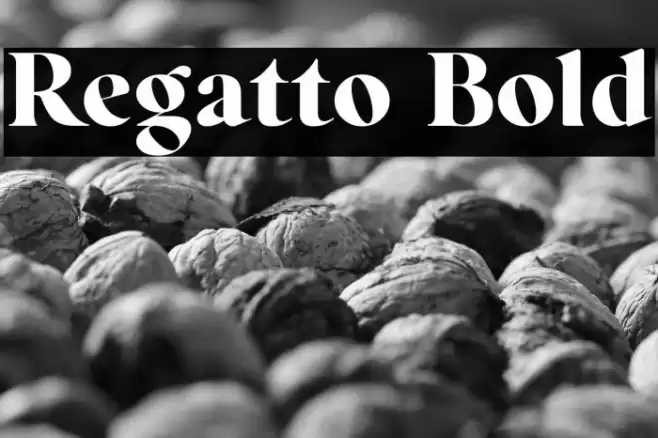 Regatto Bold Font examples