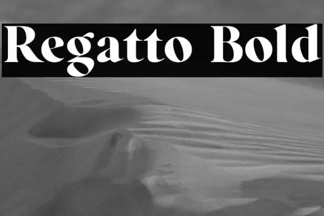 Regatto Bold Font examples