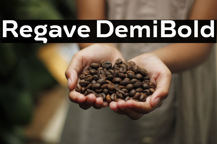 Regave DemiBold Example 2