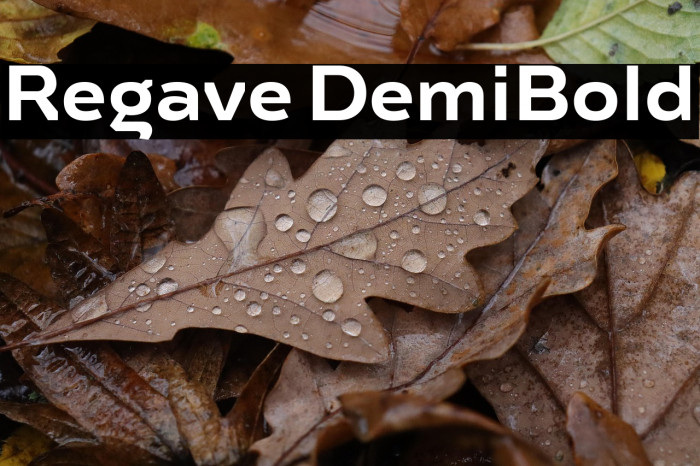 Regave DemiBold Example 3