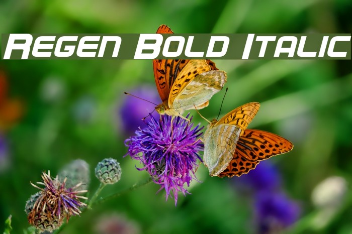 Regen Bold Italic Font examples