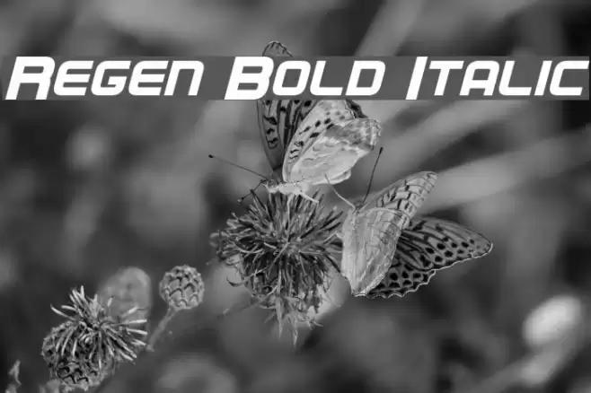 Regen Bold Italic examples