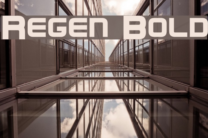 Regen Bold Font examples