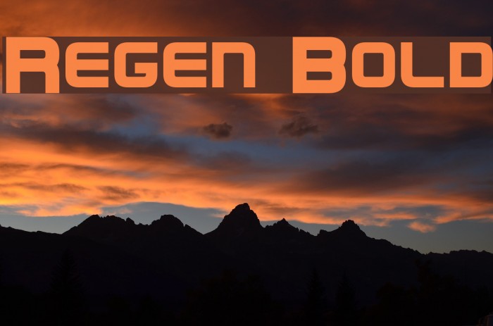 Regen Bold Font examples