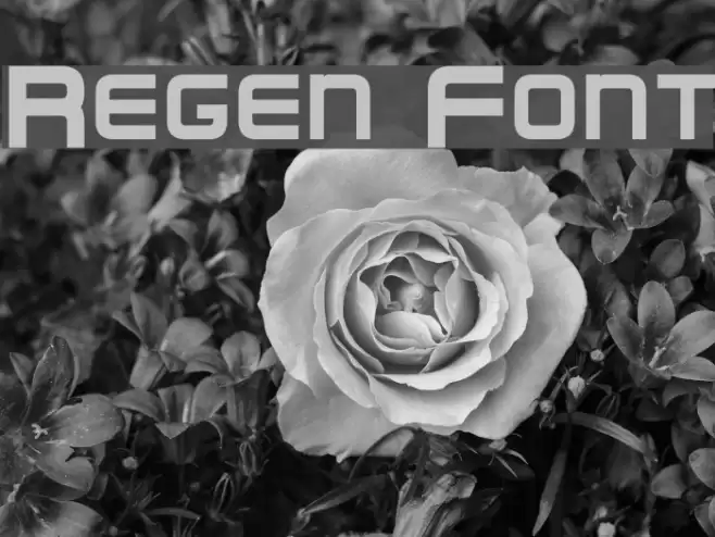 Regen Font examples