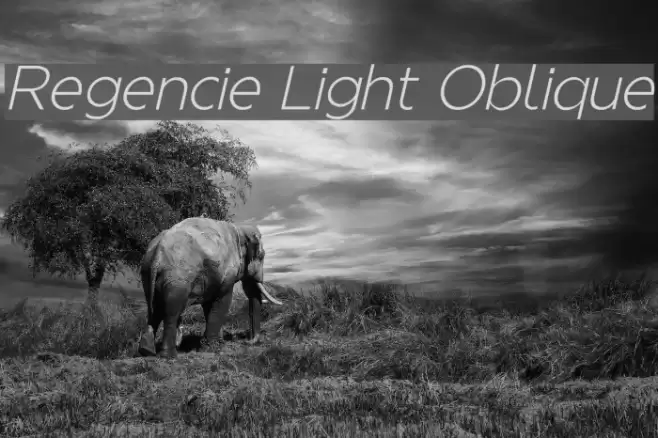 Regencie Light Oblique examples