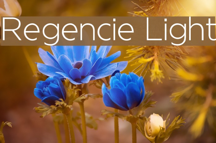 Regencie Light Font examples