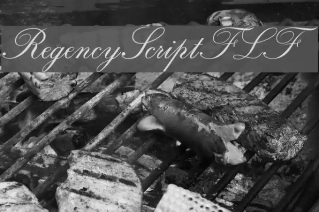 RegencyScriptFLF Font examples