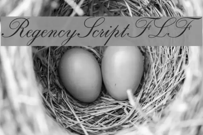 RegencyScriptFLF Font examples