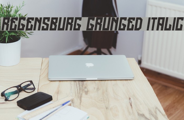 Regensburg Grunged Italic Example 1