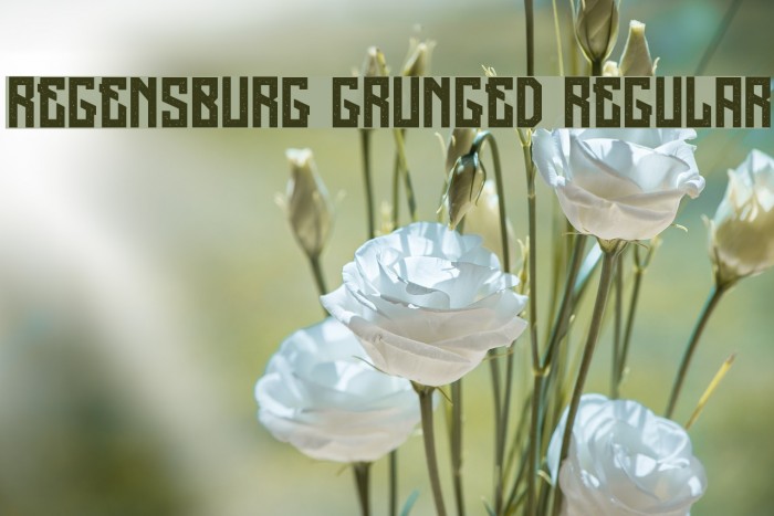 Regensburg Grunged Regular Font examples