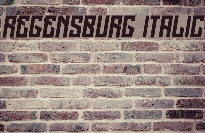 Regensburg Italic Font examples
