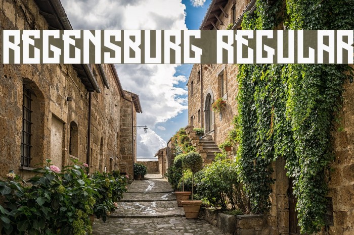 Regensburg Regular Example 1