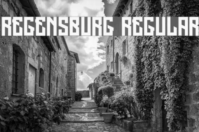 Regensburg Regular Font examples