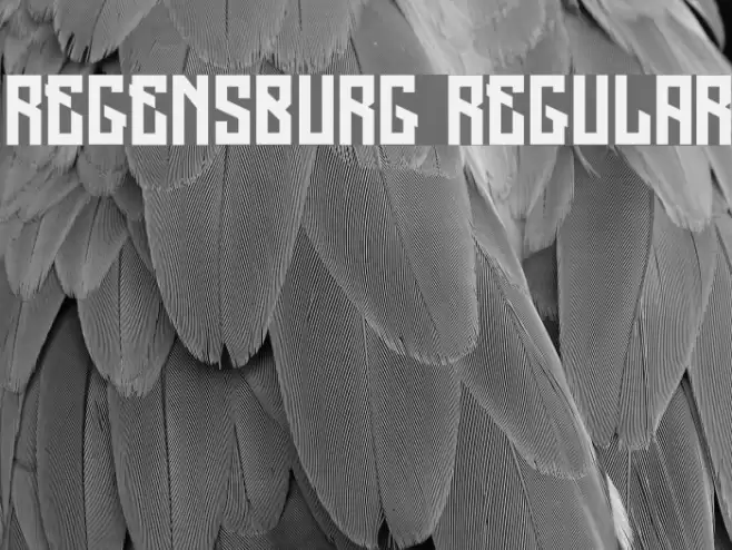 Regensburg Regular Font examples