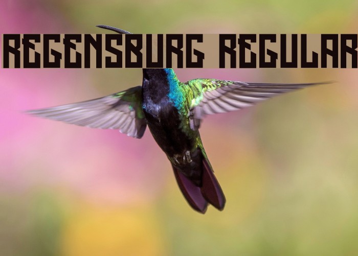 Regensburg Regular Example 3
