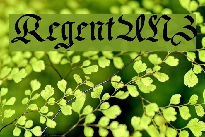 RegentUNZ Font examples