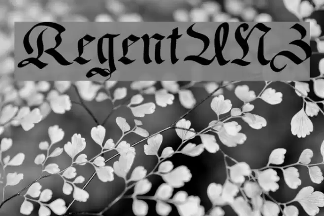 RegentUNZ خط examples