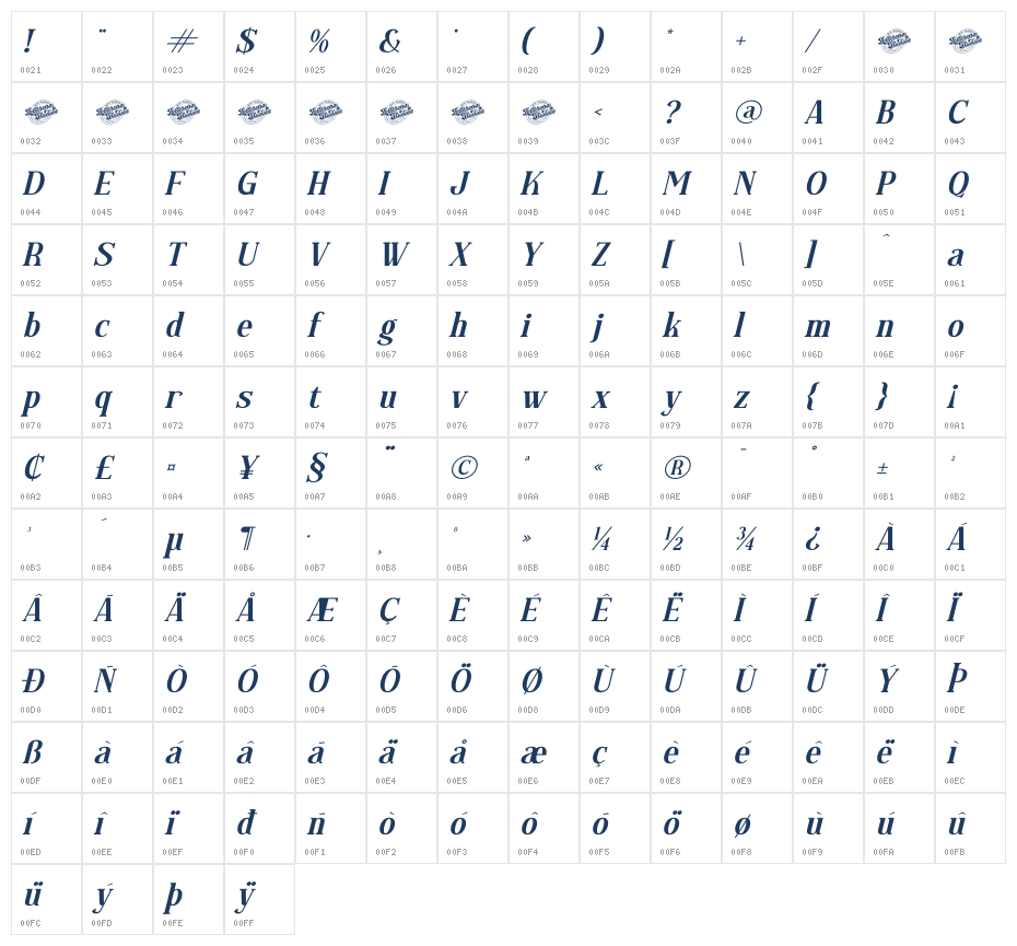 Regflina DEMO VERSION Italic Character Map