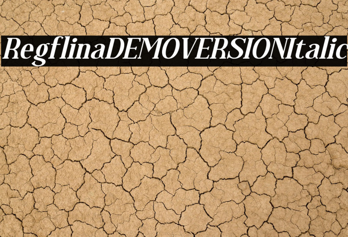 Regflina DEMO VERSION Italic Example 1