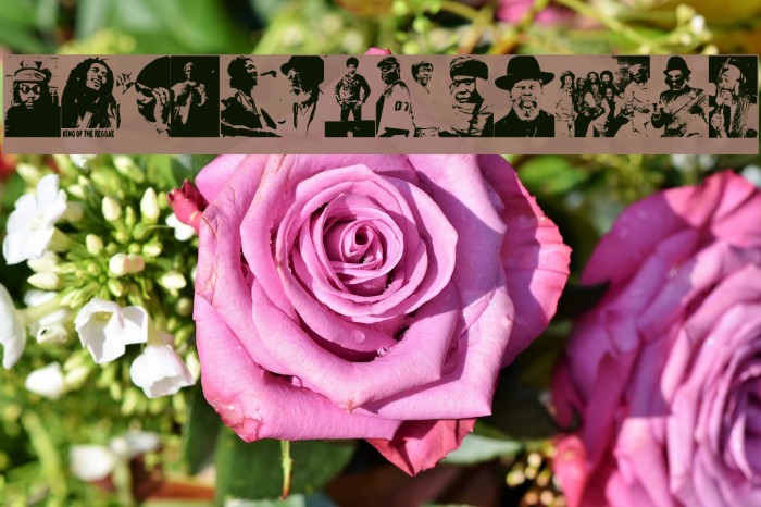 Reggae Greatests Example 1