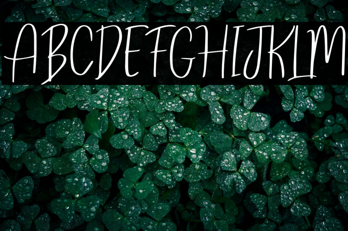 ReghinaFont Example 2