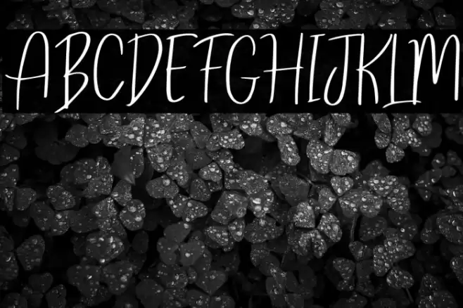 ReghinaFont フォント examples