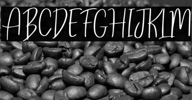 ReghinaFont フォント examples