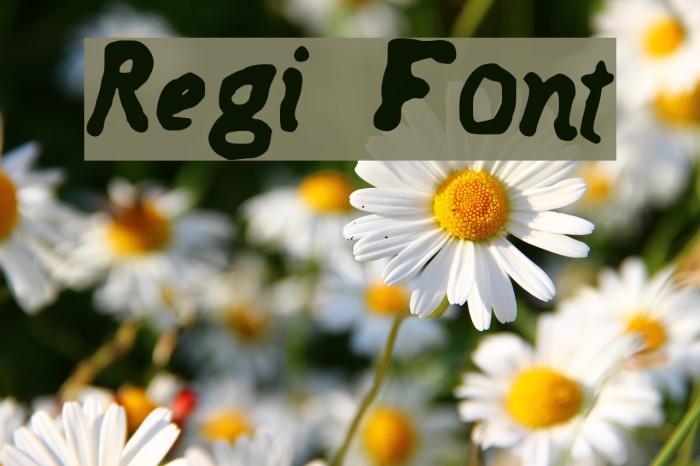 Regi Font examples