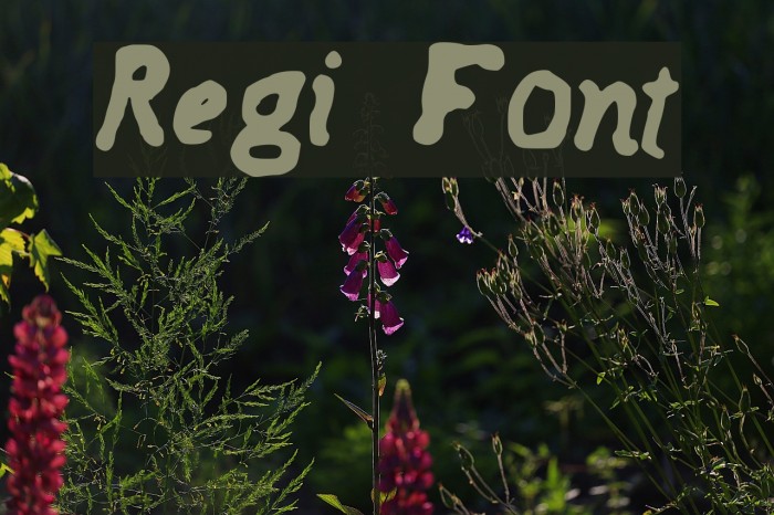 Regi Font examples