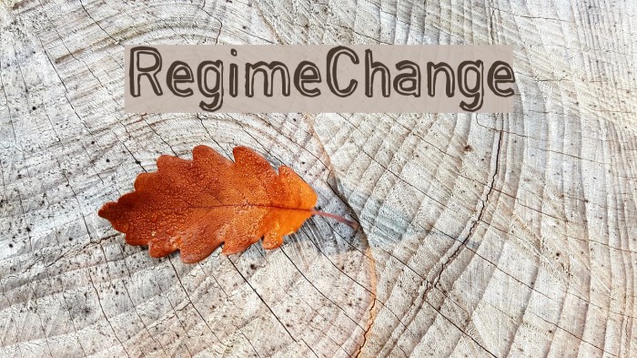 RegimeChange Font examples
