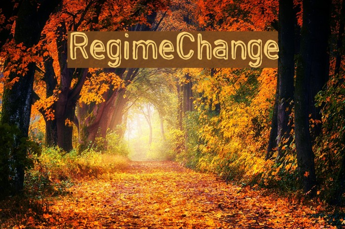 RegimeChange Font examples