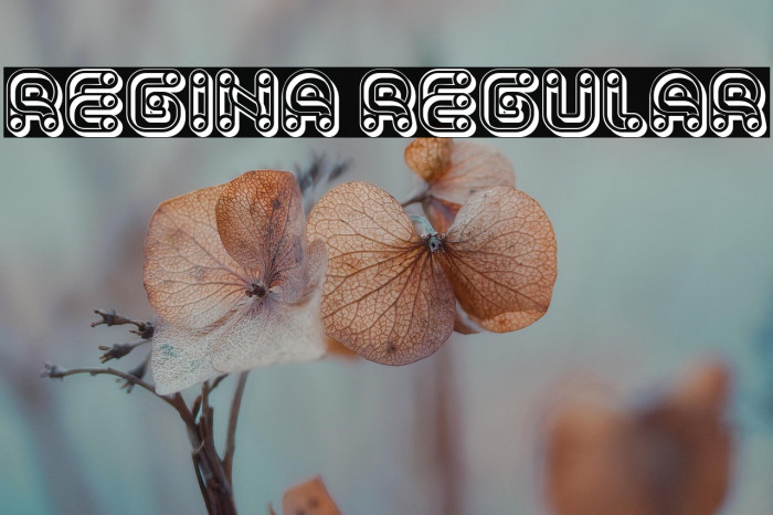 Regina Regular Example 1