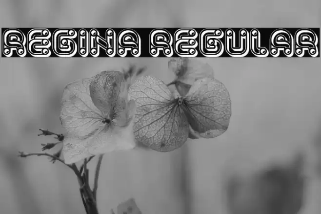 Regina Regular Font examples