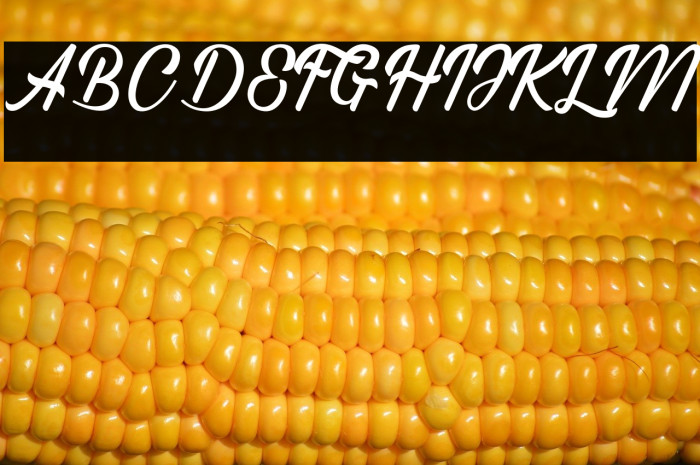 Regina Script Example 1