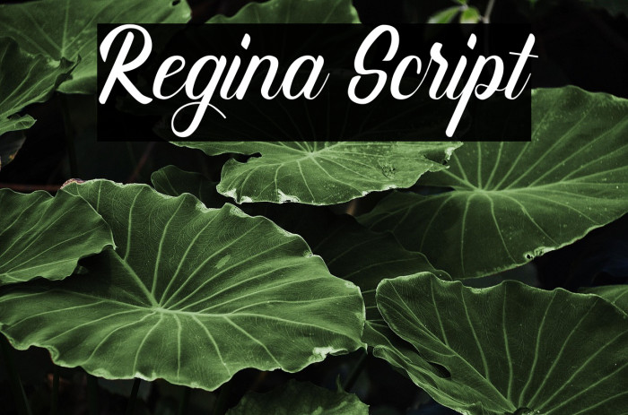 Regina Script Example 3