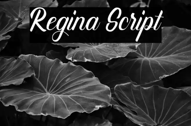 Regina Script Font examples