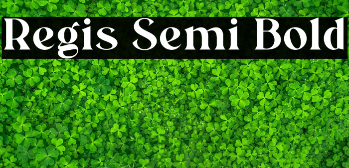 Regis Semi Bold Example 1