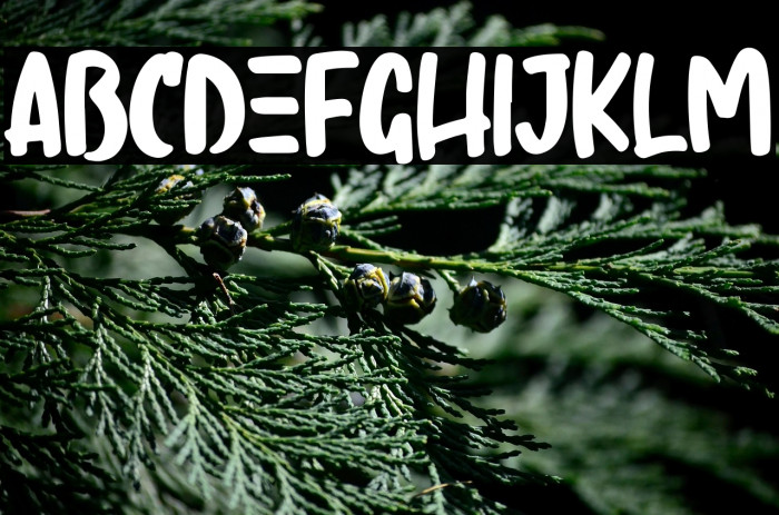 Regist Bong Example 1