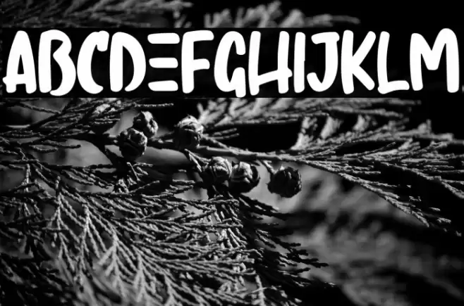 Regist Bong Font examples