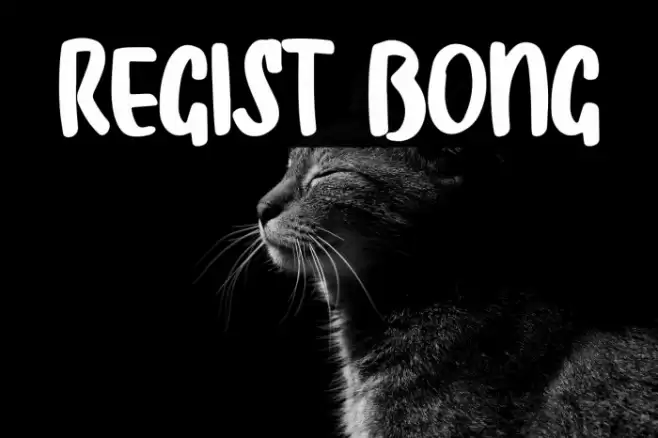 Regist Bong Font examples