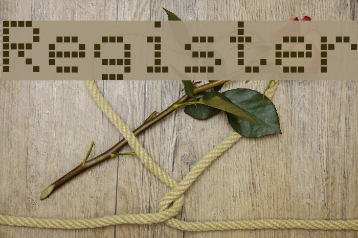 Register Font examples