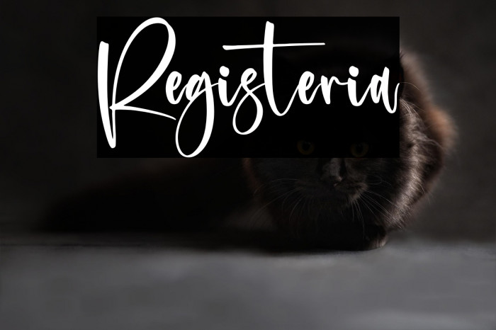 Registeria Example 1