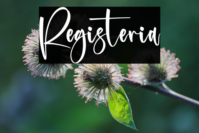 Registeria Example 3