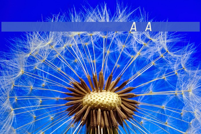 Registration Number ANA I L.ttf Font examples