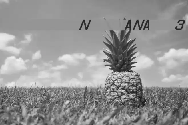 Registration Number ANA I v3 Font examples