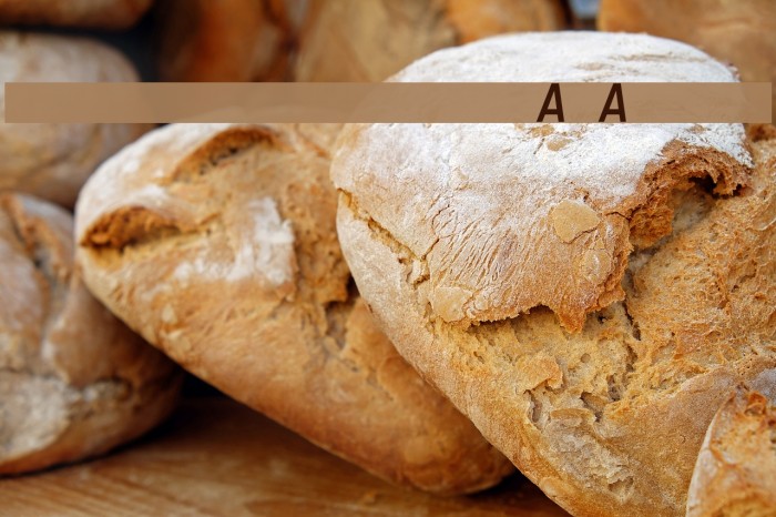 Registration Number ANA I.ttf Font examples