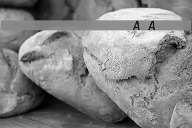 Registration Number ANA I.ttf フォント examples