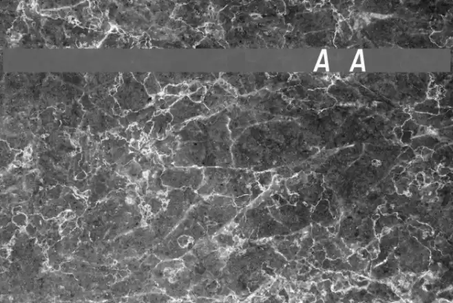 Registration Number ANA I.ttf フォント examples