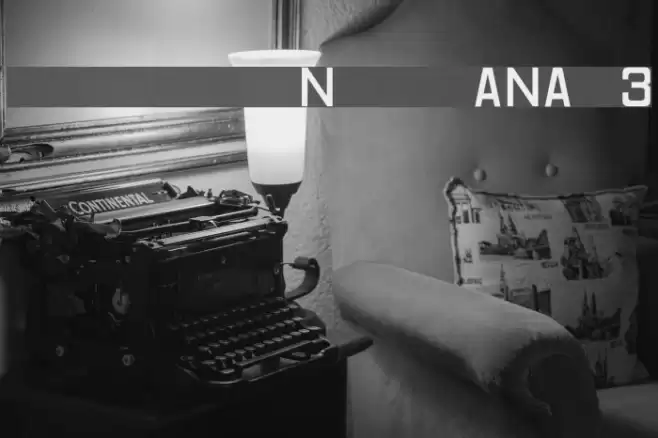 Registration Number ANA v3 フォント examples